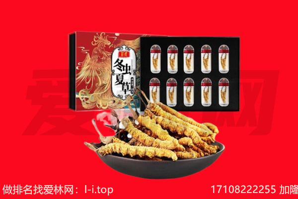 宜宾珙县回收虫草.jpg